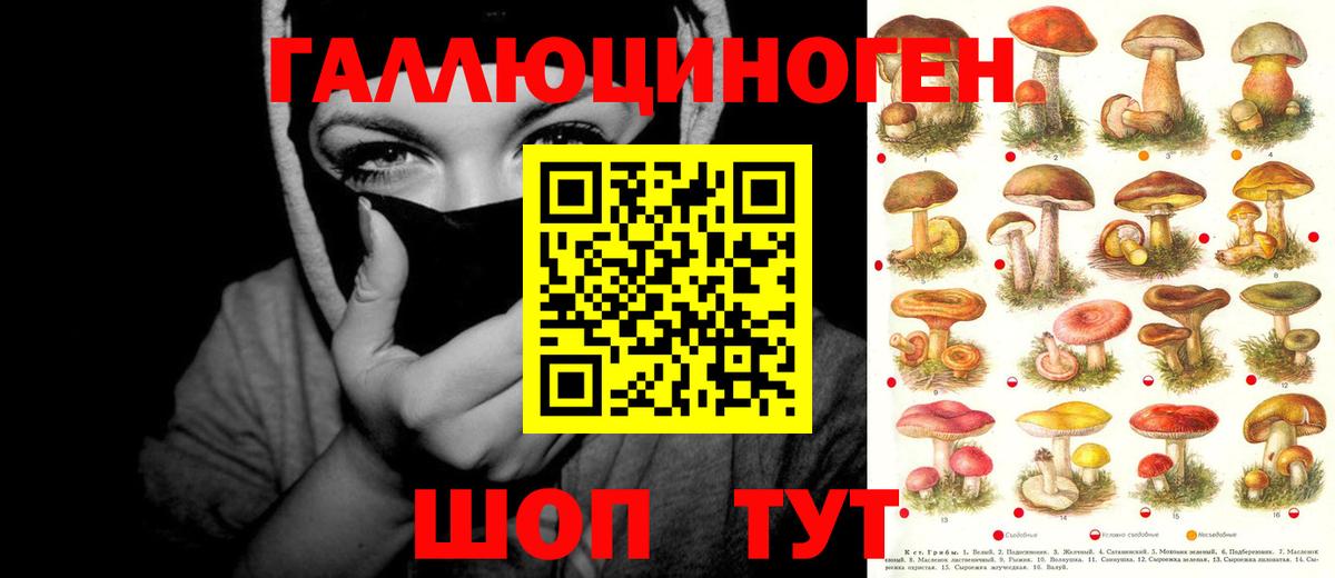 Галлюциногенные грибы ЛСД Сосновоборск